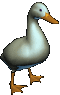 gif photo view