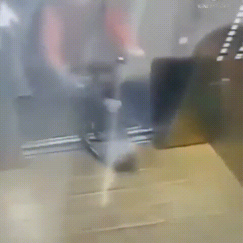 dolbayob.mp4