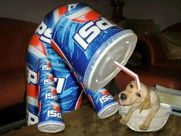 Фотографии со стены