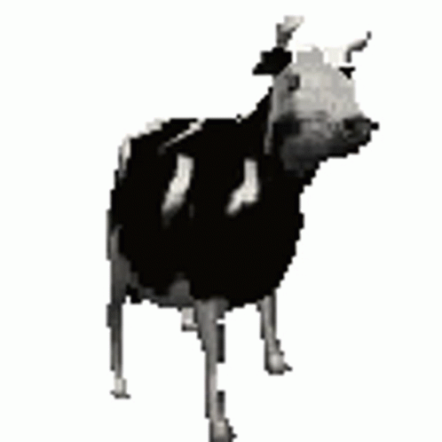 gif photo view