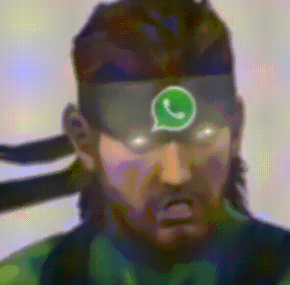 whatsapp snake