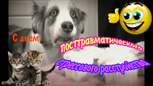 Фотографии со стены