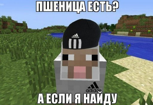 Фотографии со стены