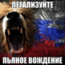 Фотографии со стены