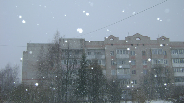 Мои