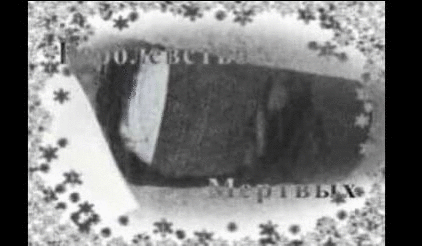 Фотографии со стены