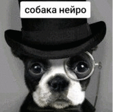 Ivan Krytou