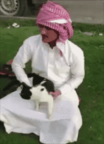 gif photo view
