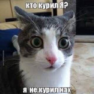 Зига Зага