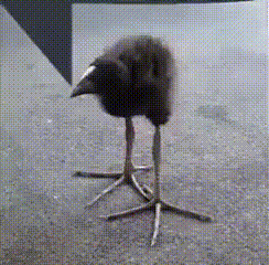 Чикибамбумчик