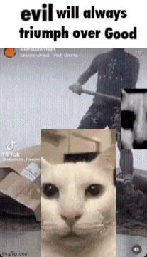 gif photo view