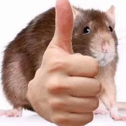 Danxen Vi