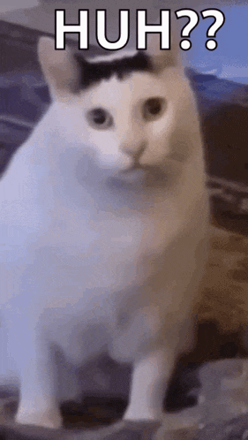 gif photo view