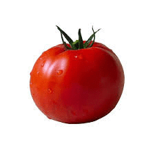 Давид 