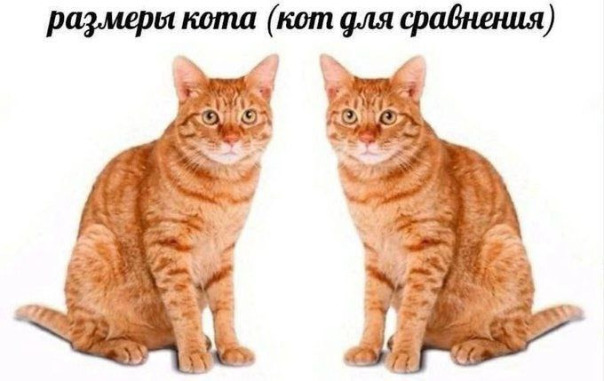 Фотографии со стены