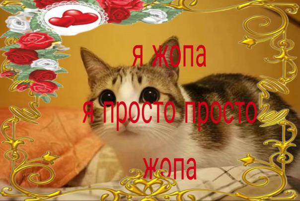 Фотографии со страницы