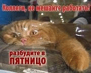 пРиКоЛы))0)