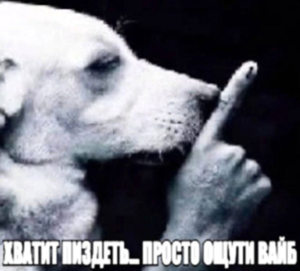 Фотографии со стены
