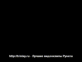 Белка и авто