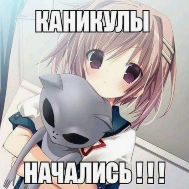 Белка 