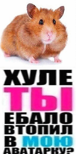 Даша Комова