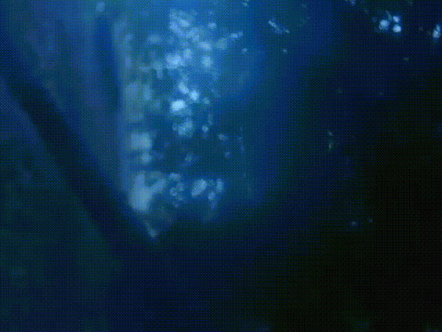 私の女神、涼宮ハルヒ　(≧▽≦) [2byxdhAflEg].mp4 Comp 1