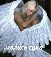 Фотографии со стены