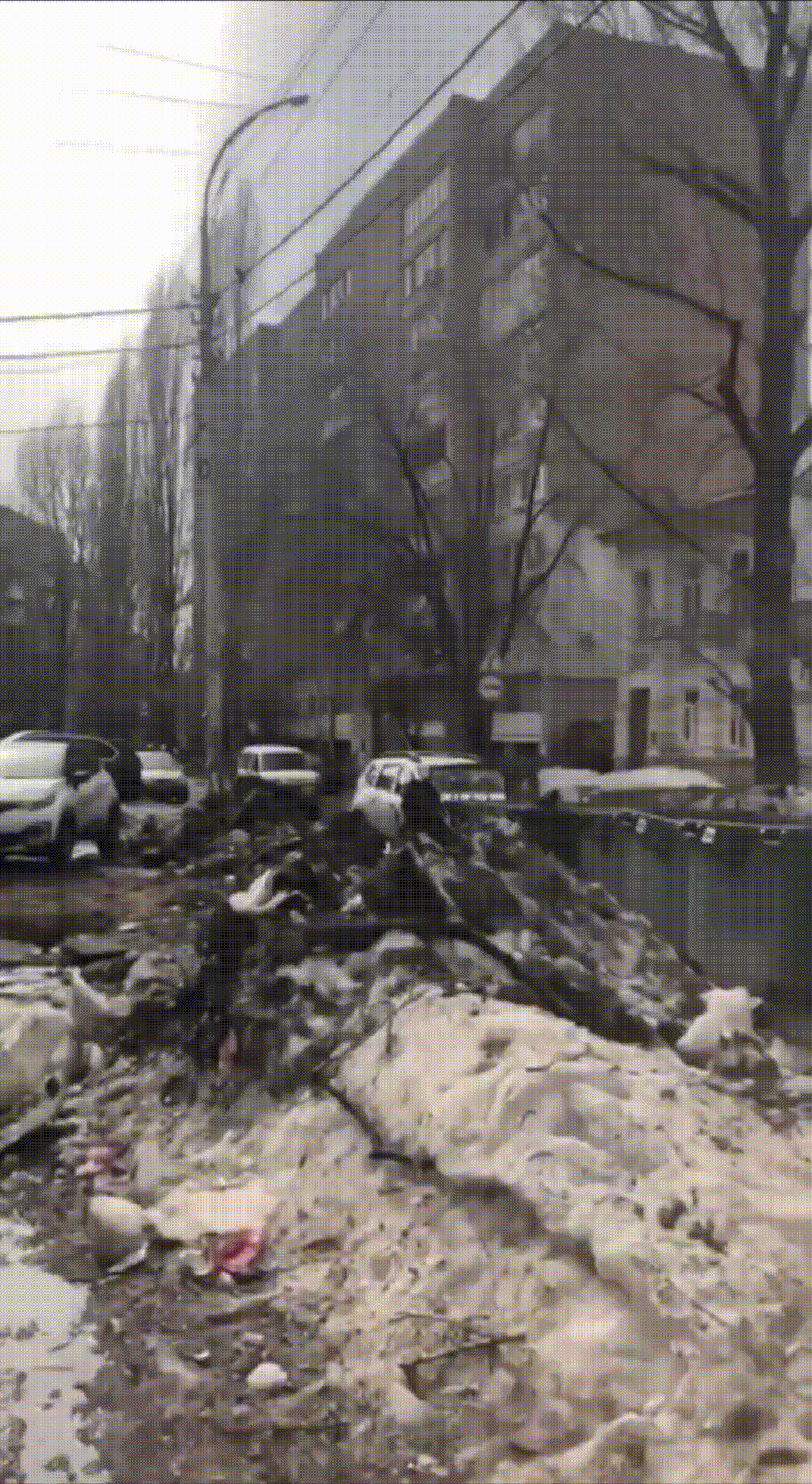 весна