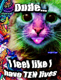 gif photo view