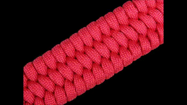Beginner Paracord_ How to Make a Trilobite Paracord Bracelet