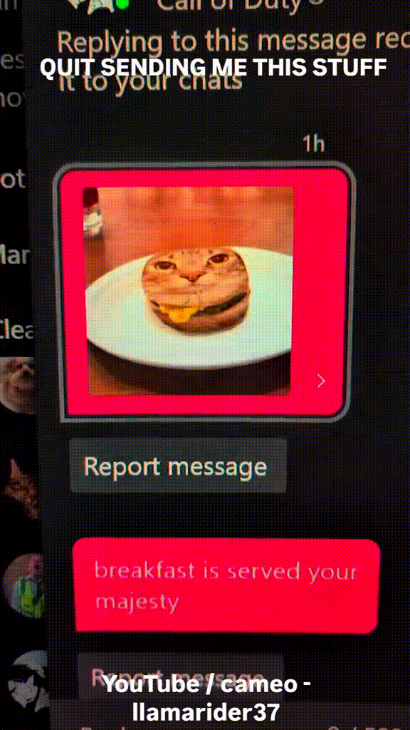 cheburgur