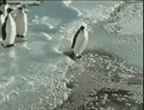 gif photo view