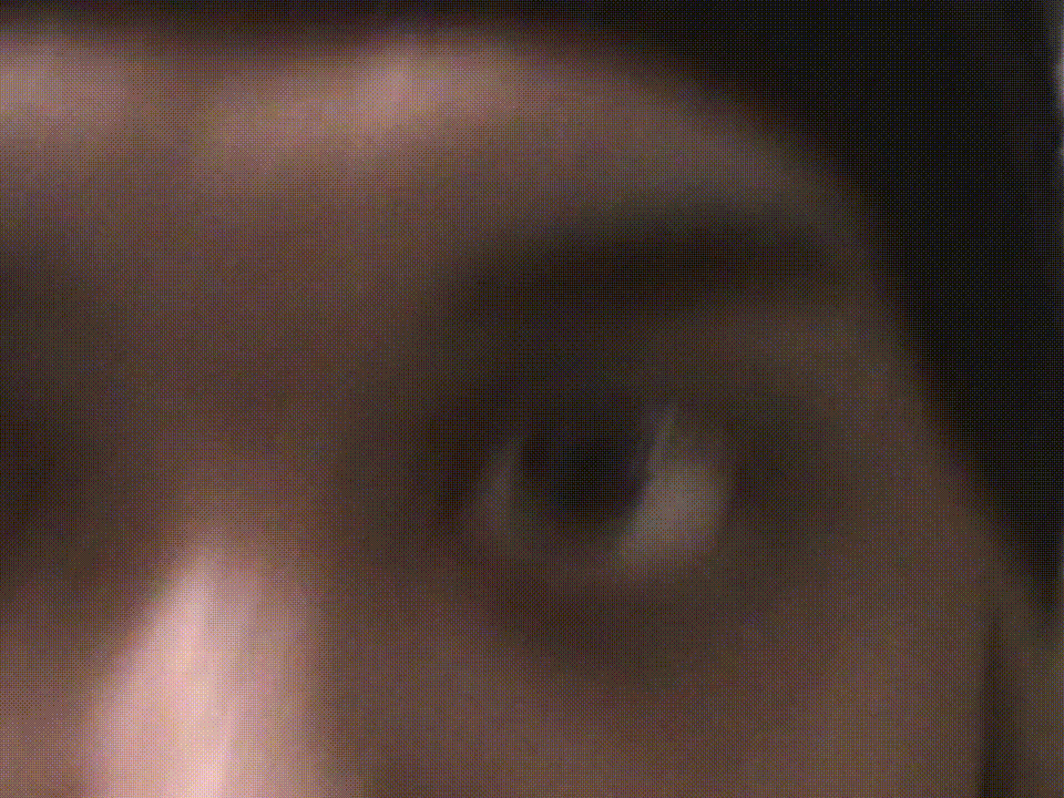 10132009