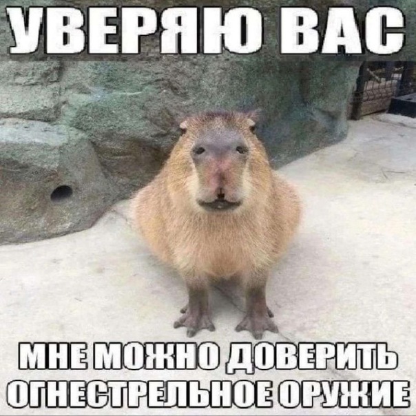 Фотографии со стены