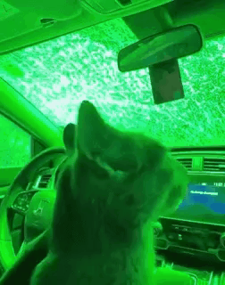 gif photo view