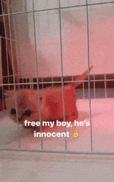 gif photo view