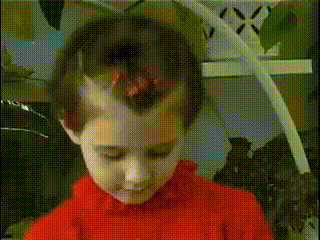 Давай Мясо