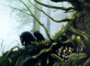JOHN HOWE