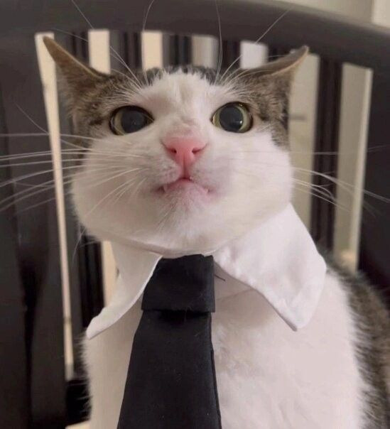Даниил Eblan