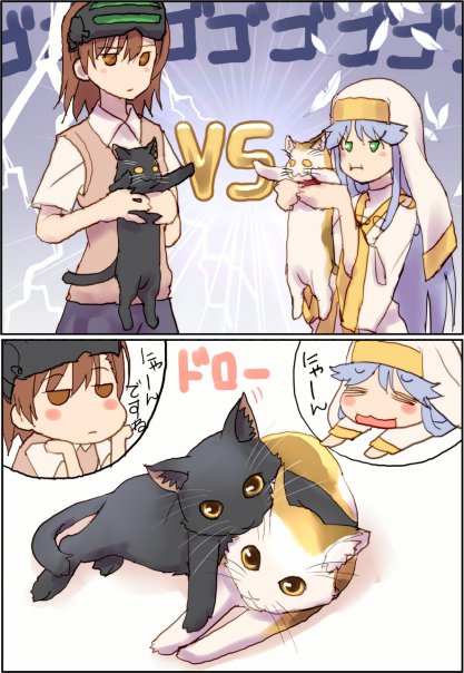 raika9 (Pixiv ID: #2232374)
#Toaru_...
