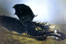 JOHN HOWE