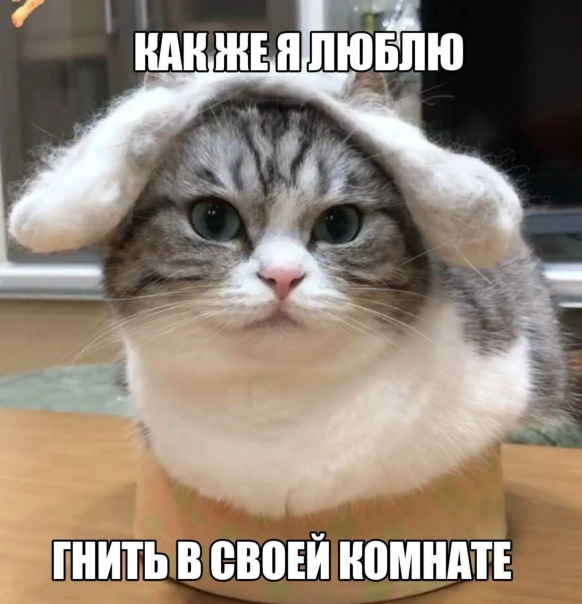 Фотографии со стены