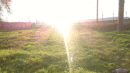 Прикольная фотка с Nokia N8, засветило камеру телефона.