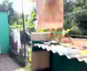 Парень залез в будку к сабаке