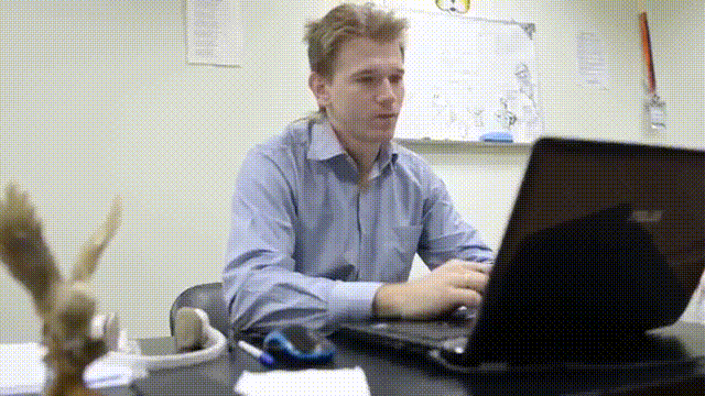 продолжаем работать