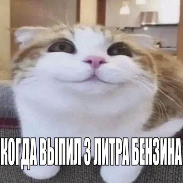 Момер Момеровский