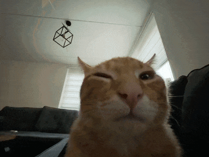 gif photo view