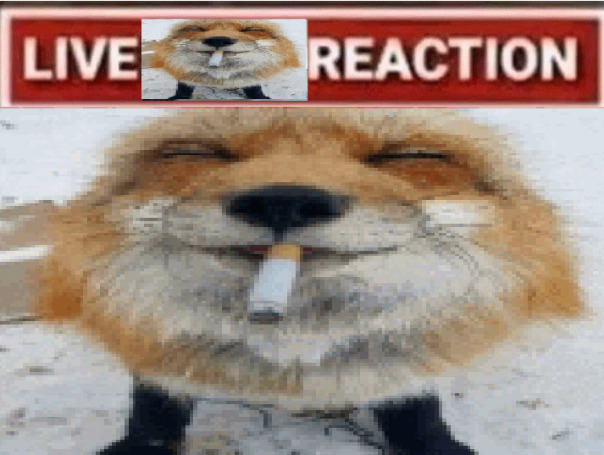 а