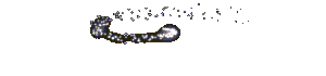 gif photo view