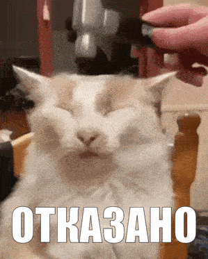 gif photo view